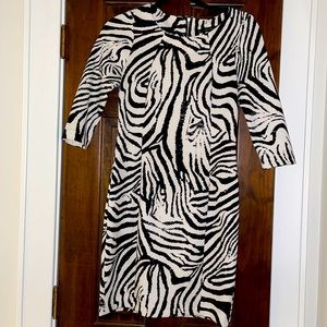 Zara neoprene zebra dress